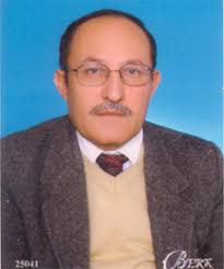 Full article: Recent advances in mechanics of composite materials:  Dedicated to the memory of Prof. Onur Sayman