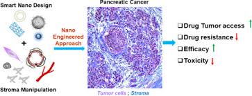 The specialist who knows your case can give more accurate information about your particular outlook and how well your type and stage of cancer are. Use Of Nano Engineered Approaches To Overcome The Stromal Barrier In Pancreatic Cancer Sciencedirect