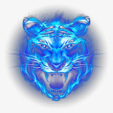 Tiger Head Picture Material Tiger Head Blue Skulls Animal Paintings