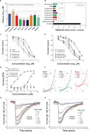 Niclosamide is an anthelmintic, prescribed for worm infections (fish tapeworm, dwarf tapeworm, and beef tapeworm infections). Frontiers Drug Repurposing The Anthelmintics Niclosamide And Nitazoxanide Are Potent Tmem16a Antagonists That Fully Bronchodilate Airways Pharmacology