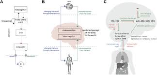 Interoception And Mental Health A Roadmap Biological Psychiatry Cognitive Neuroscience And Neuroimaging