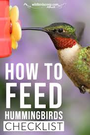 How To Feed Hummingbirds With A 15 Tip Checklist Feed Hummingbirds Humming Bird Feeders Bird Feeding Station