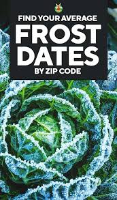 Find The First And Last Frost Dates In Your Area By Zip Code When To Plant Vegetables Gardening For Beginners Frost