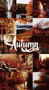 55 Trendy Christmas Screen Savers Collage Fall Wallpaper Christmas Screen Savers Iphone Wallpaper Fall