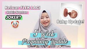 We did not find results for: Update Kehamilan 5 Minggu Keluar Flek Pregnancy Storytime Youtube