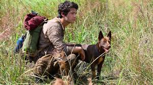Dylan O Brien Paramount Love And Monsters Movie Heading To Pvod In 2020 Dylan O Brien Dylan Obrian Dylan O