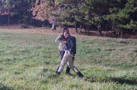 Lori Grimes (Tv Series) | Walking Dead Wiki | Fandom