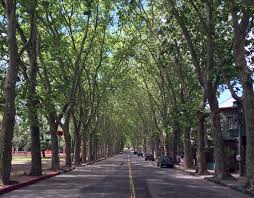 Av. 19 de Abril, Prado, Montevideo, Uruguay.