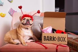 Here are only the best puppy valentine wallpapers. Barkbox Is Offering A Limited Edition Valentine S Day Box For 5