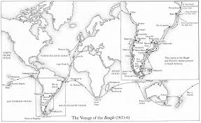 Voyage Of The Beagle Hms Beagle Charles Darwin Beagle