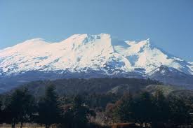 Homer simpson is the male character from the animated cartoon the simpson. Global Volcanism Program Ruapehu