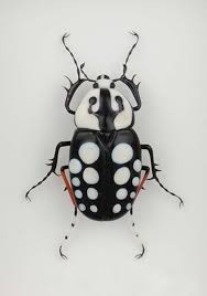 Black Beetle Like Bug In House Pin By Linda Baker On Moths Dragonflies Insects Bugs Insects Insects Beautiful Bugs
