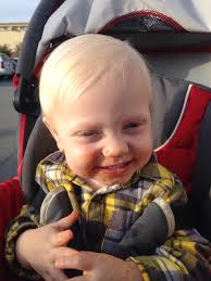 Chili Fights Heights (@chilifights)