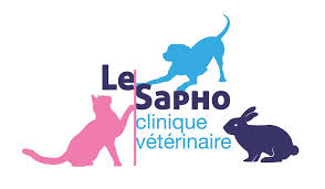 Clin Vet Le Sapho