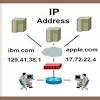 Quick setup manual, service manual, network user's manual, operation & user's manual. 1