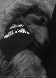 Black And Tan Reverse Dapple Dachshund Seattle Seahawks Super Fan Wilhelm Black And Tan Dapple Dachshund Dog In Black And White 12thpup Dapple Dachshund Dachshund Dachshund Dog