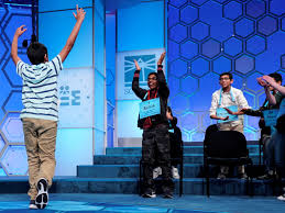 Image result for Sorindeia winkleri