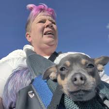 Chihuahua walks and dog park experiences