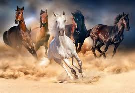 Crossword puzzles are for everyone. Horse Herd Jigsaw Puzzle In Animals Puzzles On Thejigsawpuzzles Com Lovak Lovas Fenykepek Emlosok
