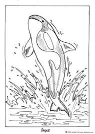 Jonah and the whale coloring pages for preschoolers. Baby Killer Whale Coloring Pages