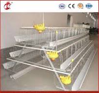 Bestchickencage a Type Pullet Chicks Cage China Pullet Hen House Supplier  OEM Customized Anti-Feed Waste Design Foldable Stackable Pullet Chicken  Cages