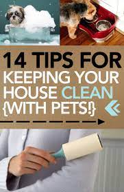 Clean Home Living With Pets Keeping A Home Clean Cleaning Tips Popular Pin Diy Clean Getting Rid Of Pet Hair Cleaning Hacks Clean House Cleaning