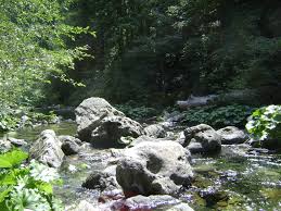 Maybe you would like to learn more about one of these? Plumas National Forest Little North Fork Campground