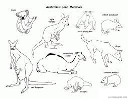 Each printable highlights a word that starts. Animal Habitat Coloring Pages Printable Sheets Australia Habitats And Activities 2021 A Coloring4free Coloring4free Com