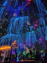 Avatar secret garden, penang peta lokasi : Highlight Of My Trip To Penang Last Year Avatar Secret Garden Pics