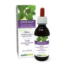 Image result for Melissa officinalis