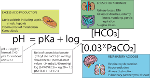 Image result for Base Excess