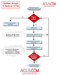 Our acls, pals & bls courses follow 2020 american heart association® guidelines for cpr and ecc. Quotes About Algorithm 53 Quotes