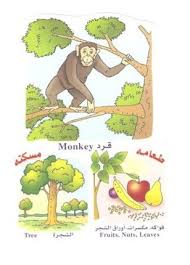 الحيوانات أسمائها طعامها مكان عيشها araba