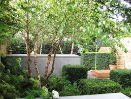 Notting Hill Garden Modern Garden Garden On A Hill Contemporary Garden Design