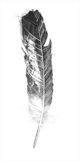Black White Eagle Feather Tattoo Design Today Pin Federtattoos Feder Zeichnung Adlerfedern