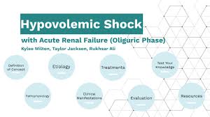 Renal failure or kidney failure (formerly called renal insufficiency) describes a medical condition in which the biochemically, renal failure is typically detected by an elevated serum creatinine level. Hypovolemic Shock With Acute Renal Failure By