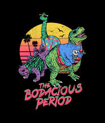 The Bodacious Period T Shirt Unisex For Men Women Day Of The Shirt Graphic Tees T Shirt
