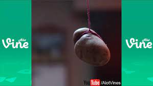 A potato flew around my room 10 min remix. Potatoes Lovesavesdeath