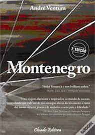 Estreou na tv em 1989, na extinta tv manchete, na minissérie na rede de intrigas, tendo também atuado na novela ana raio e zé trovão, em 1990 na mesma emissora. Montenegro Livro Wook