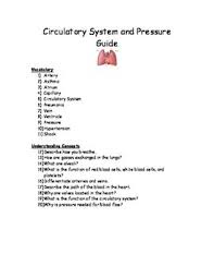 One Page Editable Worksheet Can Be Used As Preview Review Or Assessment For Artery Vein Circulatory System Pressur Circulatory System Pressure Study Guide