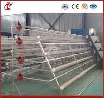 Mejor jaula para gallinas tipo ordinario fabricante de jaulas para gallinas  ponedoras en China, dispositivo de desbordamiento de alta calidad, jaula  para gallinas ponedoras de libre pastoreo