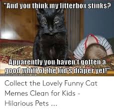 There's a bunch of cat litter that needs to be cleaned and we're here to bring. Meme Creation Funny Cat Memes Clean For Kids