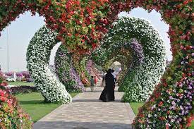 Dubai Garden Centre Solution For Plants Lovers Dubai Garden Miracle Garden Botanical Gardens Near Me