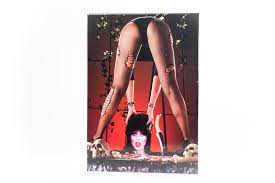 Solve as many chess puzzles as you can. Elvira Mistress Of The Dark Jigsaw Puzzle 1000 Pieces Of Pulchritude And Easy Virtue Messed Up Puzzles