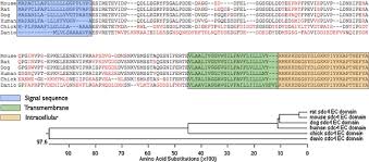 Advantages of animal cell culture: Muscle Satellite Cells From Grmd Dystrophic Dogs Are Not Phenotypically Distinguishable From Wild Type Satellite Cells In Ex Vivo Culture Neuromuscular Disorders