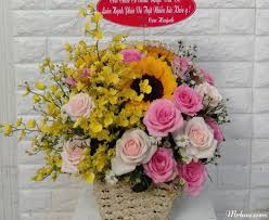 Hoa 20/11 đẹp nhất dành tặng thầy cô giáo ý nghĩa