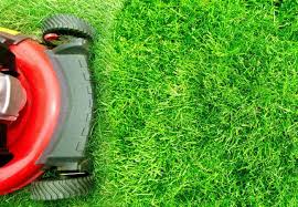 If you've been doing your best to take care of your lawn, but you still see unsightly patches or discolored grass, your grass, just like any plant, can be afflicted with fungal diseases. When To Fertilize Your Lawn And How To Avoid Causing Damage Bob Vila