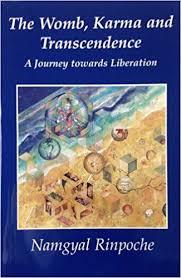 The Womb Karma And Transcendence A Journey Towards Liberation Rinpoche 9781895316018 Amazon Com Books Karma Journey Womb