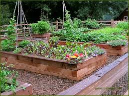 Make sure your plants receive regular watering, fertilising and pruning. How To Build A Kitchen Garden At Home Marketing Aid Limited