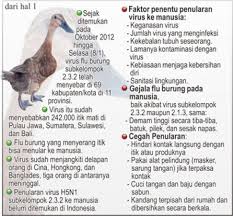 Bu rahat bebek su mat, toksik olmayan malzemelerden yapılmıştır ve güvenlidir. Ribuan Bebek Mati Dalam 2 Pekan Tribun Jabar